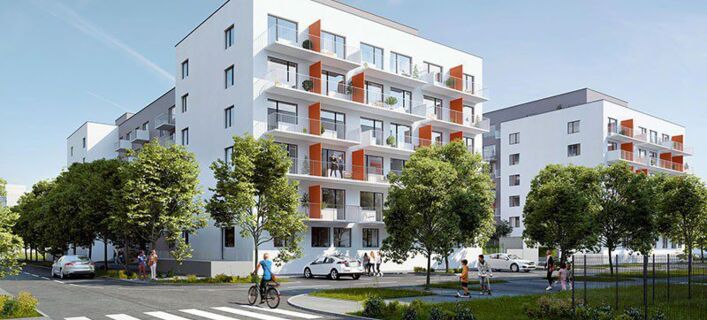 Tulipa City II