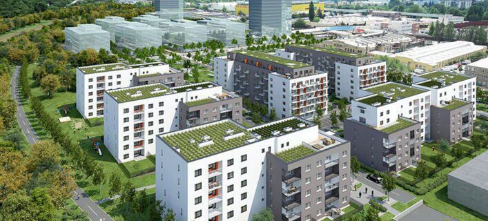 Tulipa City II