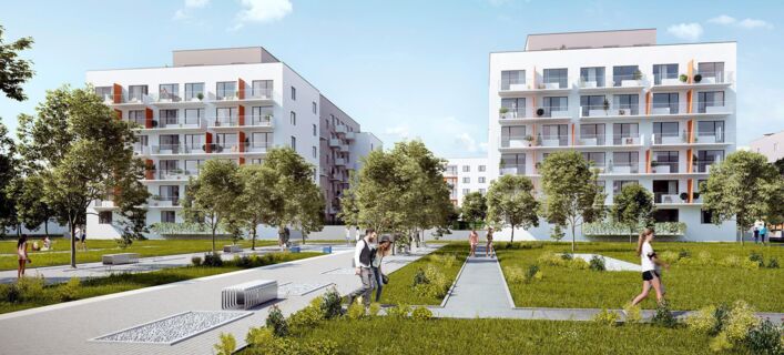 Tulipa City II