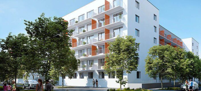 Tulipa City II